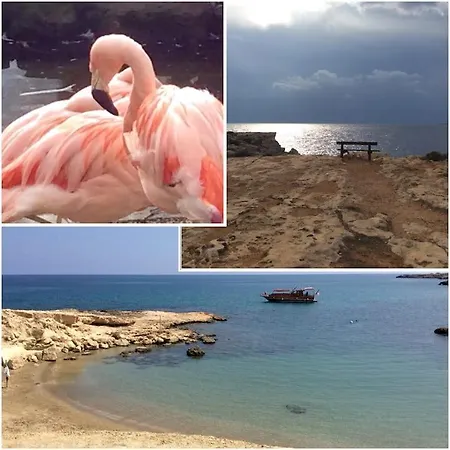 Apartment Northern Cyprus, Trikomo, Iskele, Long Beach, Caesar Resort, 8